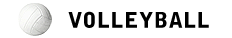 Let’s Rally plays in a Volleyball league