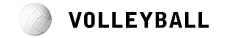 Profane Offensive Team Name plays in a Volleyball league